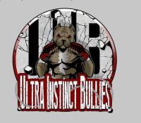 Ultra Instinct Bullies image 1